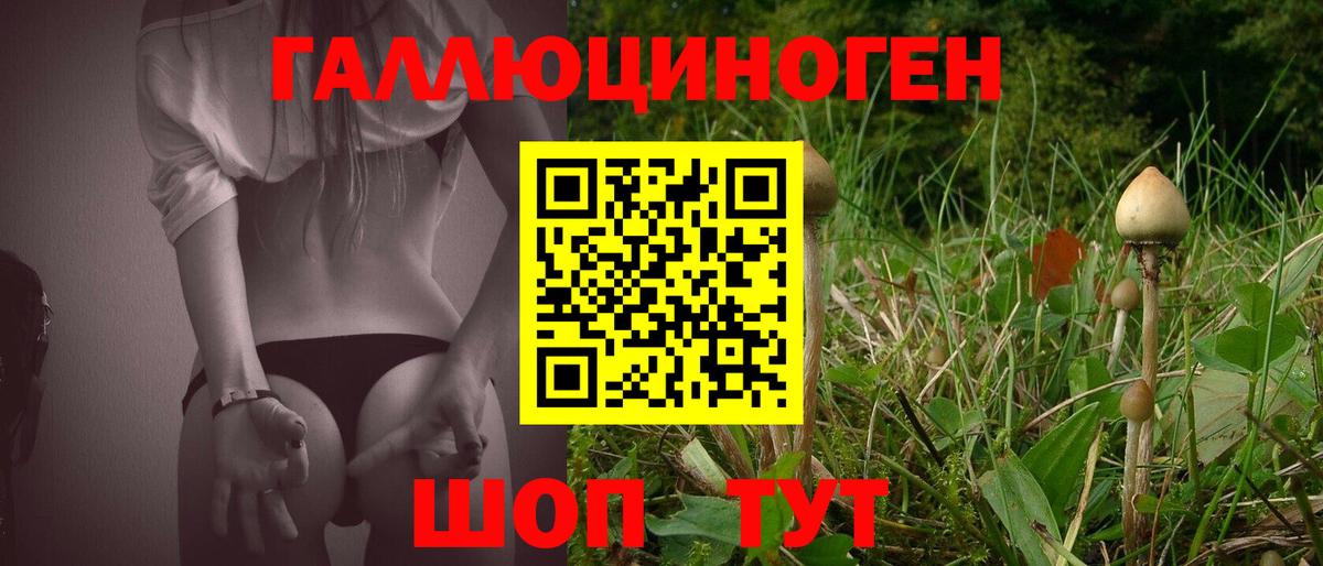 Галлюциногенные грибы мицелий Отрадный