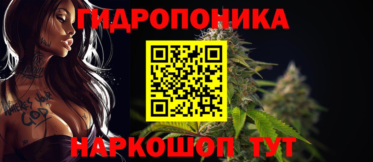МАРИХУАНА гибрид  Вход с VPN  Отрадный  Конопля LSD WEED  Шишки марихуана семена 