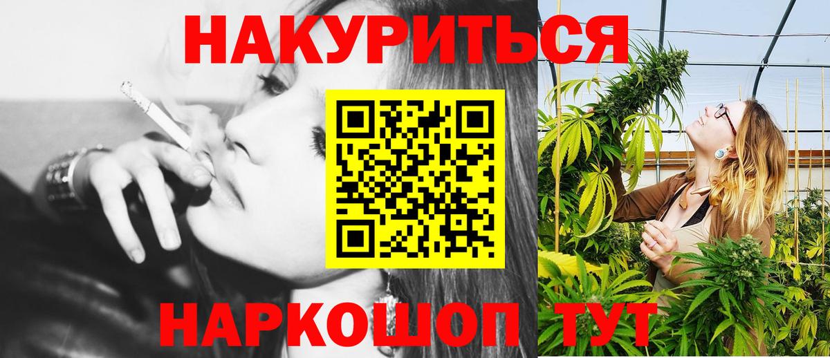 Конопля SATIVA & INDICA Отрадный